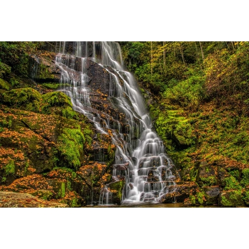 North Carolina, Brevard Waterfall in DuPont SF